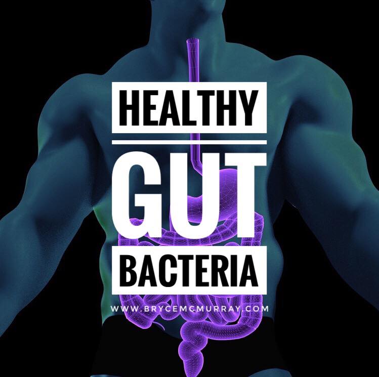 the-importance-of-maintaining-healthy-gut-bacteria-bryce-mcmurray